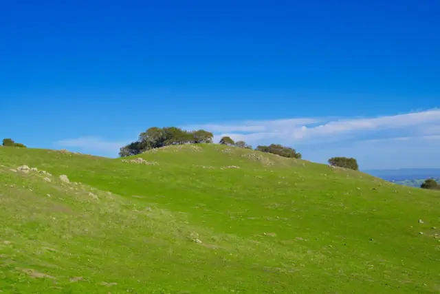 Living in Walnut Creek: A Newcomer's Guide