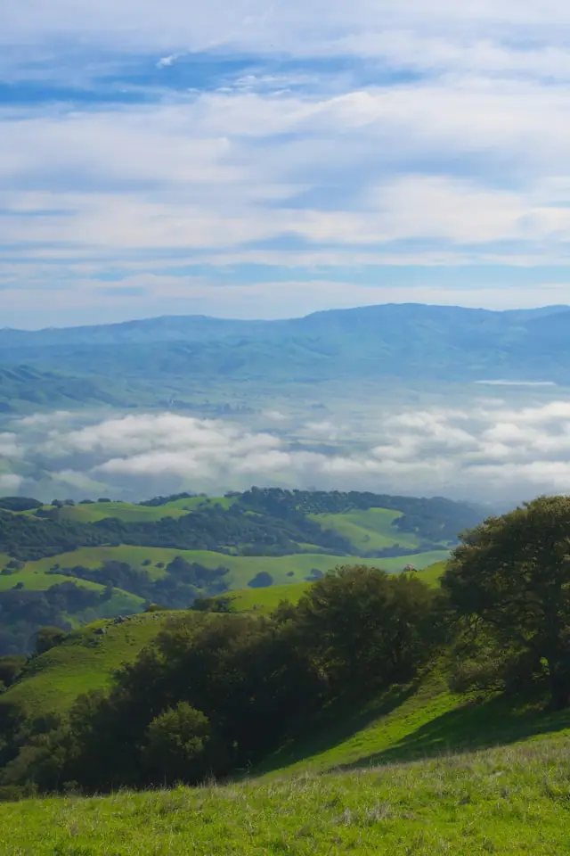 Moving to the East Bay: What You Need to Know